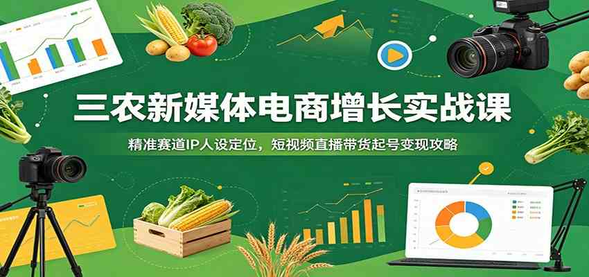 三农新媒体电商增长实战课:精准赛道IP人设定位,短视频直播带货起号变现攻略 三农新媒体电商增长实战课:精准赛道IP人设定位,短视频直播带货起号变现攻略