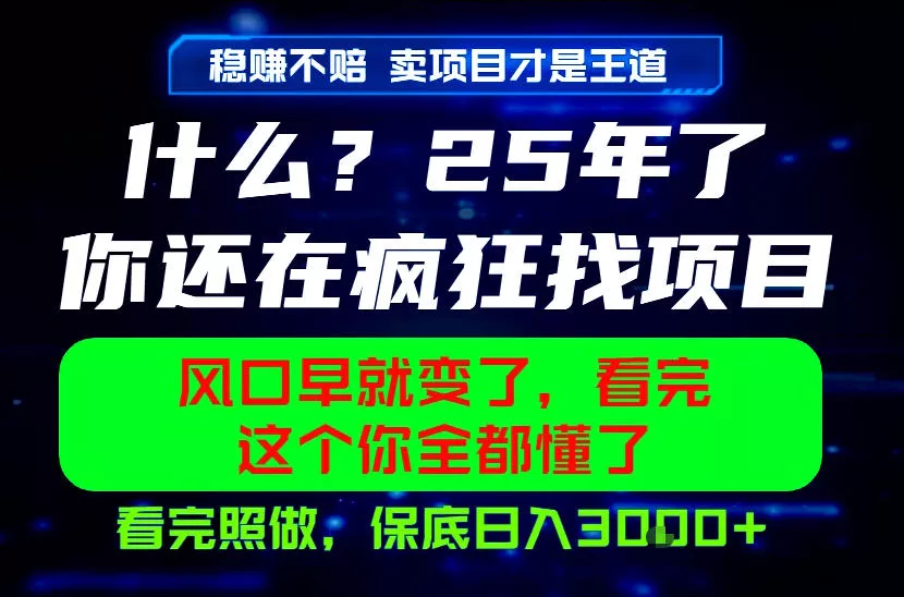 26年，请不要疯狂的找项目做了！卖项目才是真的稳賺不赔，看完照做，保底日入1k+【揭秘】-卓越网创