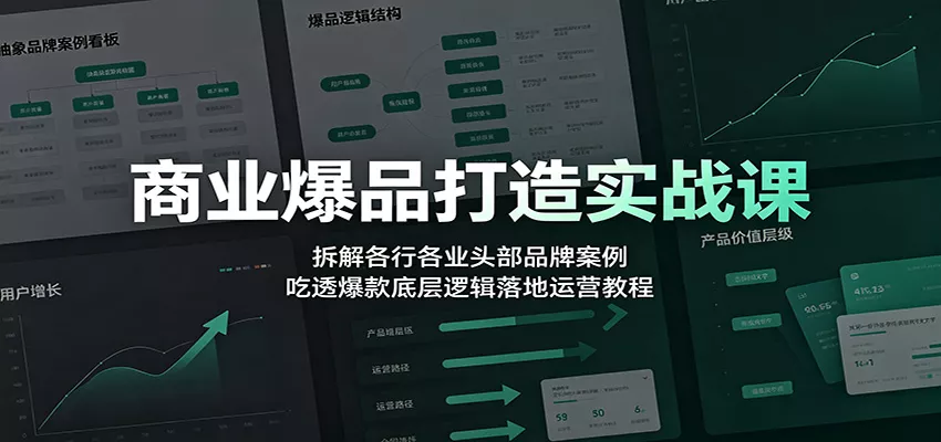 商业爆品打造实战课：拆解各行各业头部品牌案例，吃透爆款底层逻辑落地运营教程-卓越网创