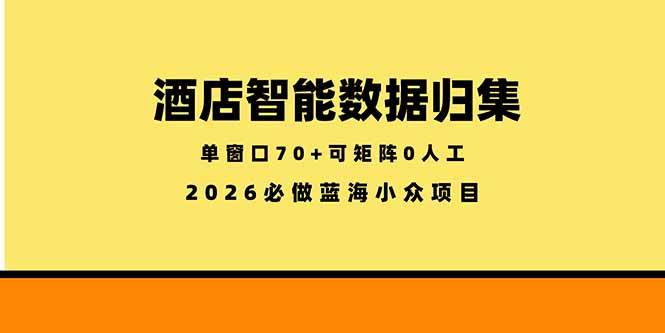 （18500期）酒店智能数据归集，小众蓝海已经稳定半年之久，单窗口70+零成本矩阵开干-卓越网创