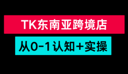 TikTok东南亚跨境从0-1认知实操课-卓越网创