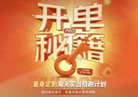天下网商·淘宝天猫陪跑计划(更新7月)-卓越网创