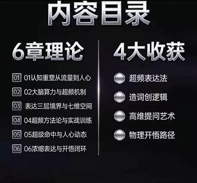 马大个高维表达全套实战课，跳出普通口才教学，大脑超频训练打造原创思想IP体系