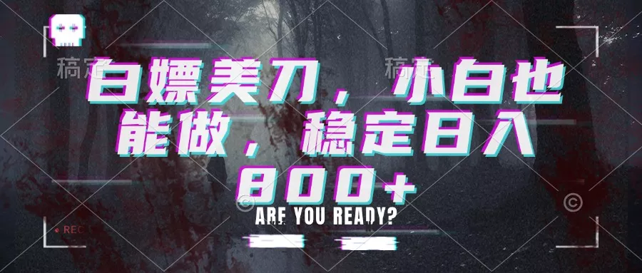 白嫖美刀，小白也能做，稳定日入800+-卓越网创