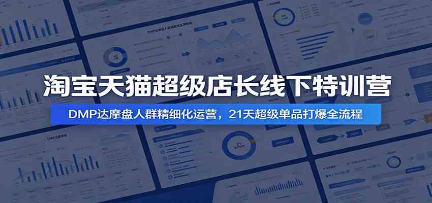 淘宝天猫超级店长线下特训营：DMP达摩盘人群精细化运营，21天超级单品打爆全流程-卓越网创