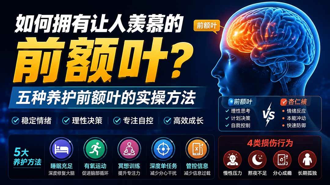 （19805期）付费文章：如何拥有让人羡慕的前额叶？五种养护前额叶的实操方法-卓越网创