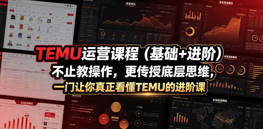 TEMU运营课程(基础+进阶),不止教操作,更传授底层思维,一门让你真正看懂TEMU的进阶课 TEMU运营课程(基础+进阶),不止教操作,更传授底层思维,一门让你真正看懂TEMU的进阶课