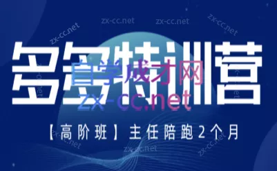 纪主任·拼多多特训营(更新6月)-卓越网创