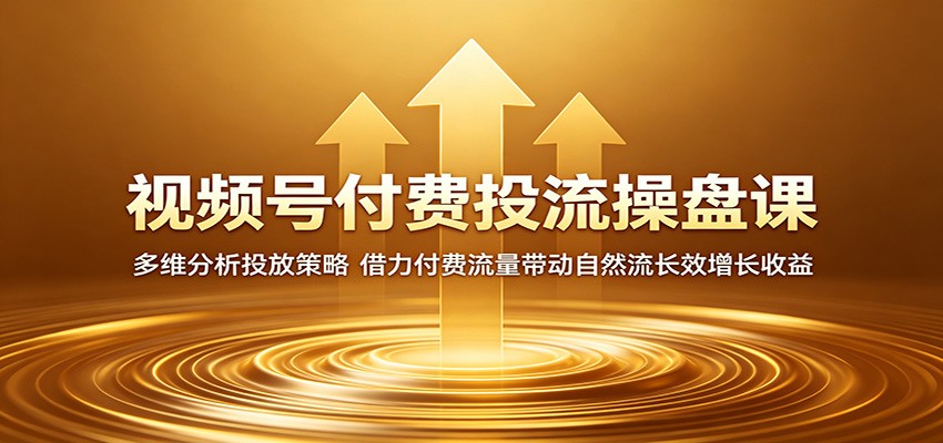 视频号付费投流操盘课:多维分析投放策略,借力付费流量带动自然流长效增长收益 视频号付费投流操盘课:多维分析投放策略,借力付费流量带动自然流长效增长收益