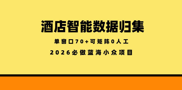 酒店智能数据归集,小众蓝海已经稳定半年之久,单窗口70+零成本矩阵开干【揭秘】-卓越网创