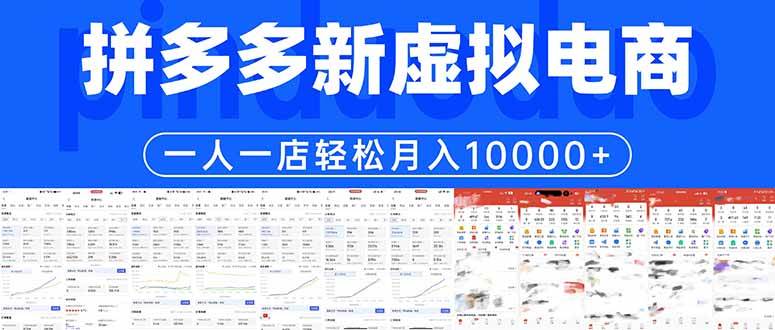 （17978期）拼多多虚拟电商一人一店轻松月入10000+-卓越网创