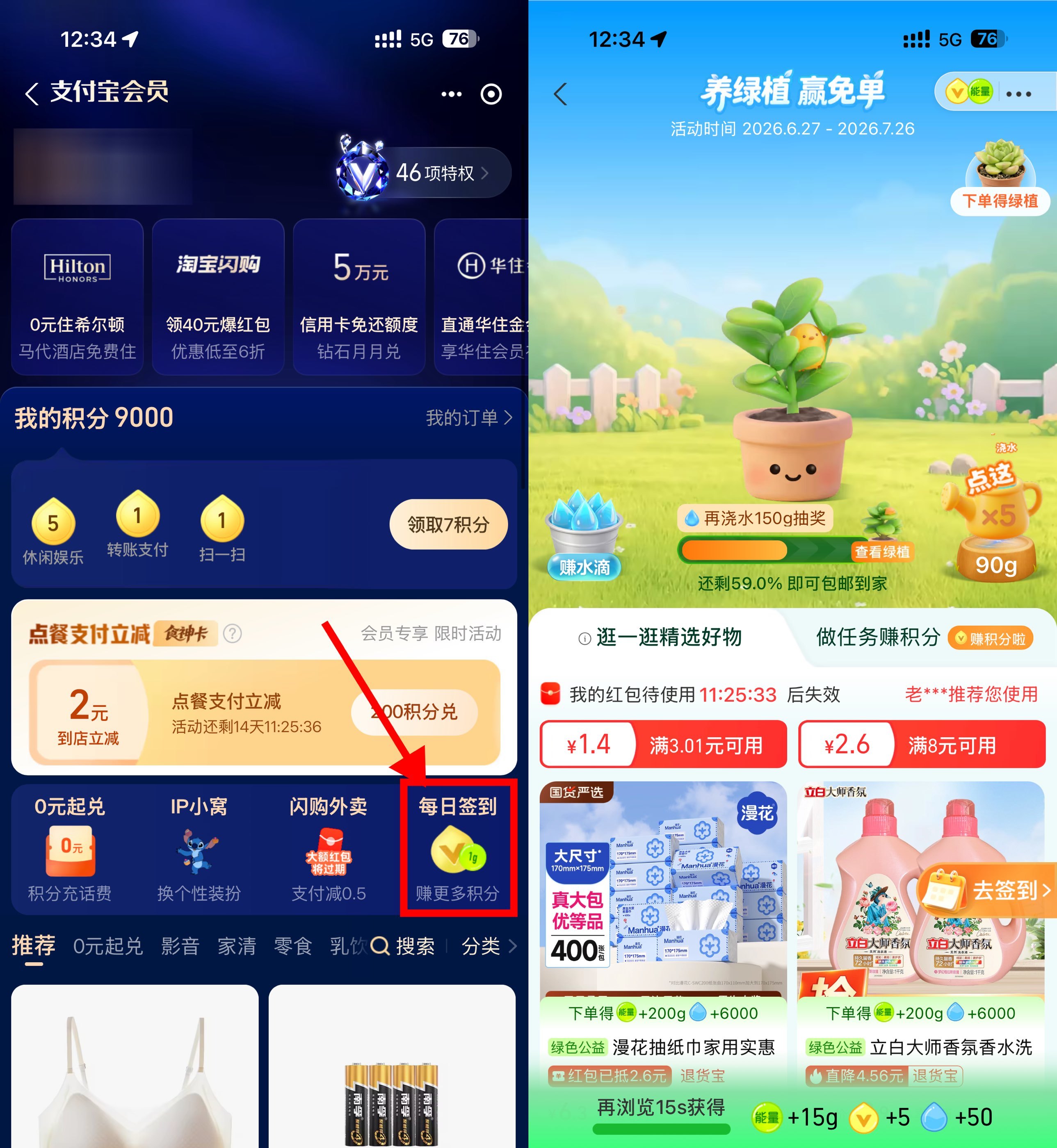 支付宝养绿植领实物绿植免单-卓越网创