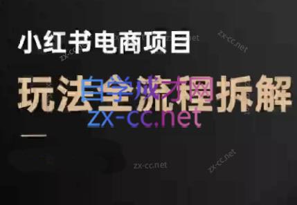 菲菲老师·小红书电商玩法(更新9月)-卓越网创