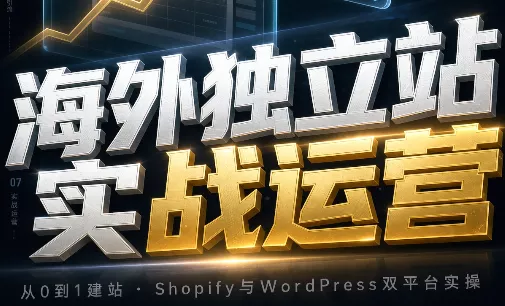 海外独立站实战运营-卓越网创