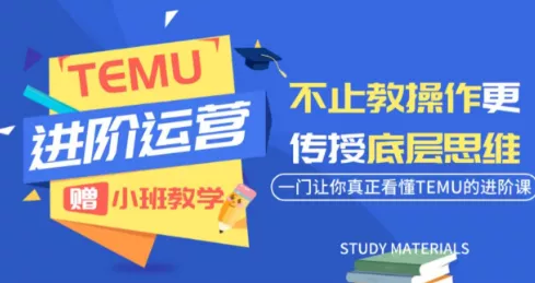 阿卡林·TEMU运营课程(基础+进阶)-卓越网创