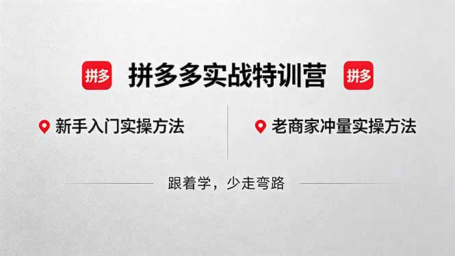 拼多多实战特训营(更新5月3-卓越网创