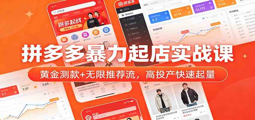 拼多多暴力起店实战课:黄金测款+无限推荐流,高投产快速起量 拼多多暴力起店实战课:黄金测款+无限推荐流,高投产快速起量