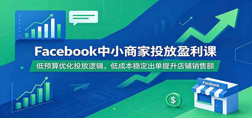 Facebook中小商家投放盈利课:低预算优化投放逻辑,低成本稳定出单提升店铺销售额 Facebook中小商家投放盈利课:低预算优化投放逻辑,低成本稳定出单提升店铺销售额