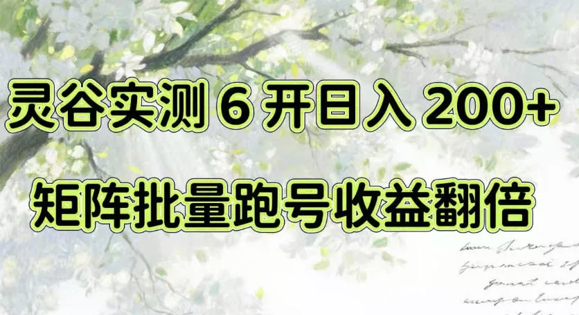 一台电脑就能做！灵谷实测6开日入200+，矩阵批量跑号收益翻倍【揭秘】-卓越网创