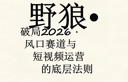 野狼团队·多平台实操运营课(更新4月)-卓越网创