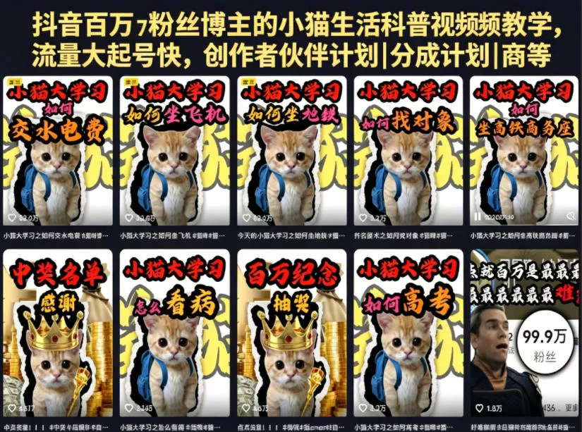 抖音百万粉丝博主的小猫生活科普视频教学，流量大起号快，创作者伙伴计划|分成计划|商单|收徒等-卓越网创