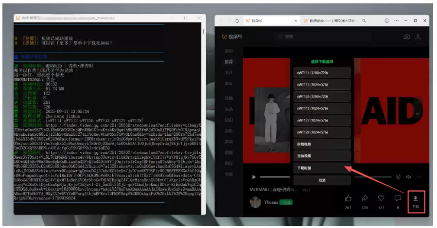 Github热门工具，视频号下载神器又来了！一键注入下载按钮，轻松下载，使用便捷wx_channel