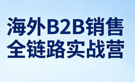 雨哥·海外B2B销售全链路实战营-卓越网创