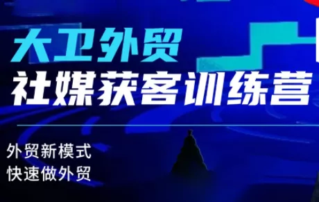 大卫老师·外贸社媒获客独家训练营(更新6月)-卓越网创