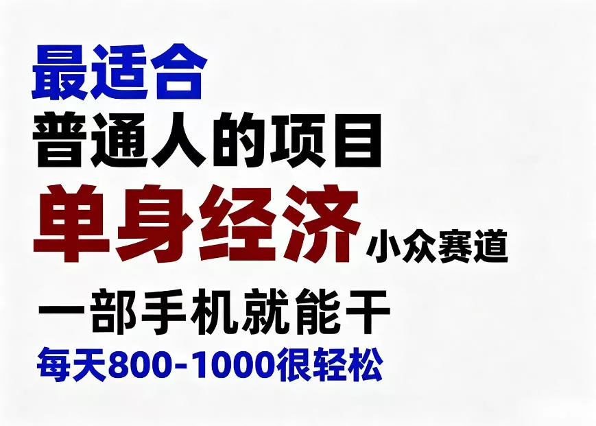 身经济小众赛道，一部手机就能干，每天搞个800-1000很轻松，最适合普通人的项目【揭秘】-卓越网创