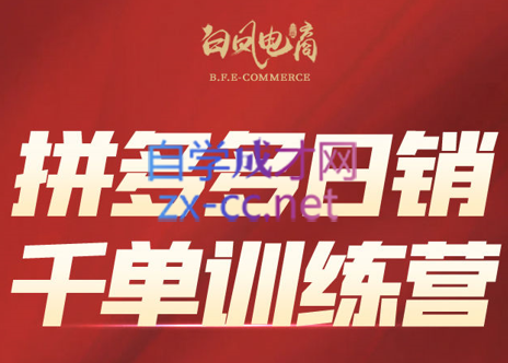 白凤电商·拼多多日销千单训练营(更新2月)-卓越网创