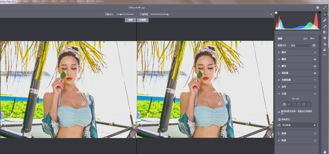 RAW处理Adobe Camera Raw v18.3.1中文版-卓越网创