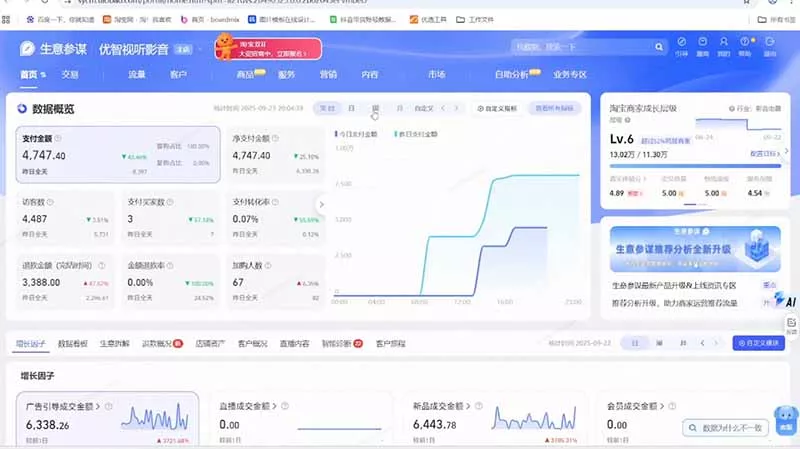 淘宝VIP特训课：蓝海选品+付费投放｜短视频AI运营｜大促起爆全流程，破解店铺无流量无利润难题