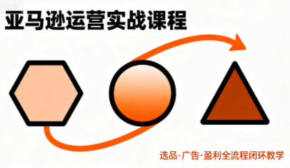 毕方电商·亚马逊全站会员课程(更新3月)-卓越网创