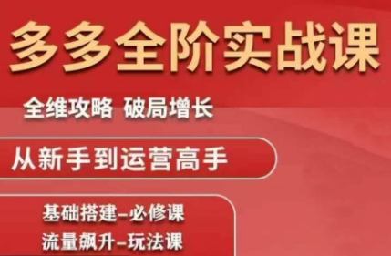 大炮·拼多多全阶实战课程(更新2026)-卓越网创