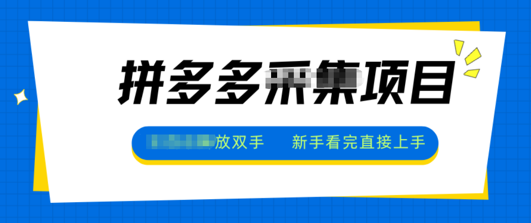 拼多多电商采集，一小时50+，操作简单，零投资-卓越网创