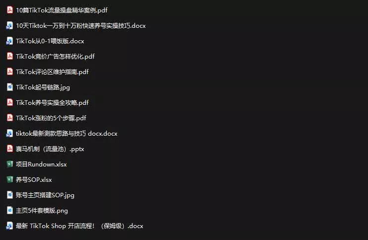 2026TikTok海外掘金实战课——养号SOP+爆款公式+选品测款+广告投流+Shop开店，跑通海外运营全链路