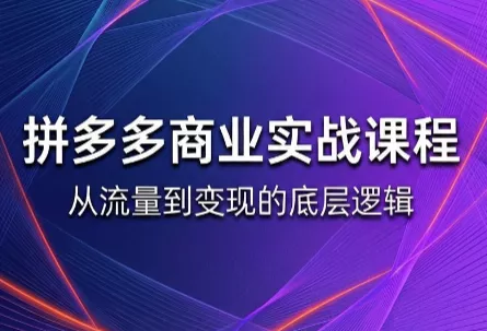 缥缈·2026拼多多课程(更新6月)-卓越网创