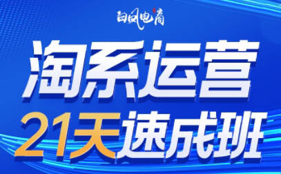 白凤电商·淘系运营21天速成班(更新2月) 白凤电商·淘系运营21天速成班(更新2月)