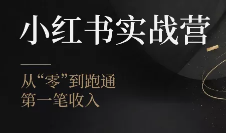 金金老师·小红书实战营-卓越网创