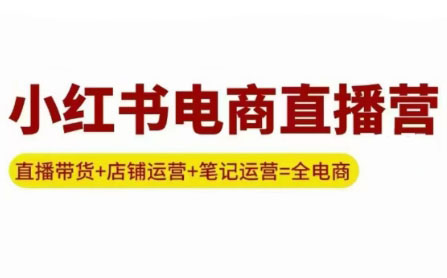 申铭老师·小红书电商直播营(更新)-卓越网创