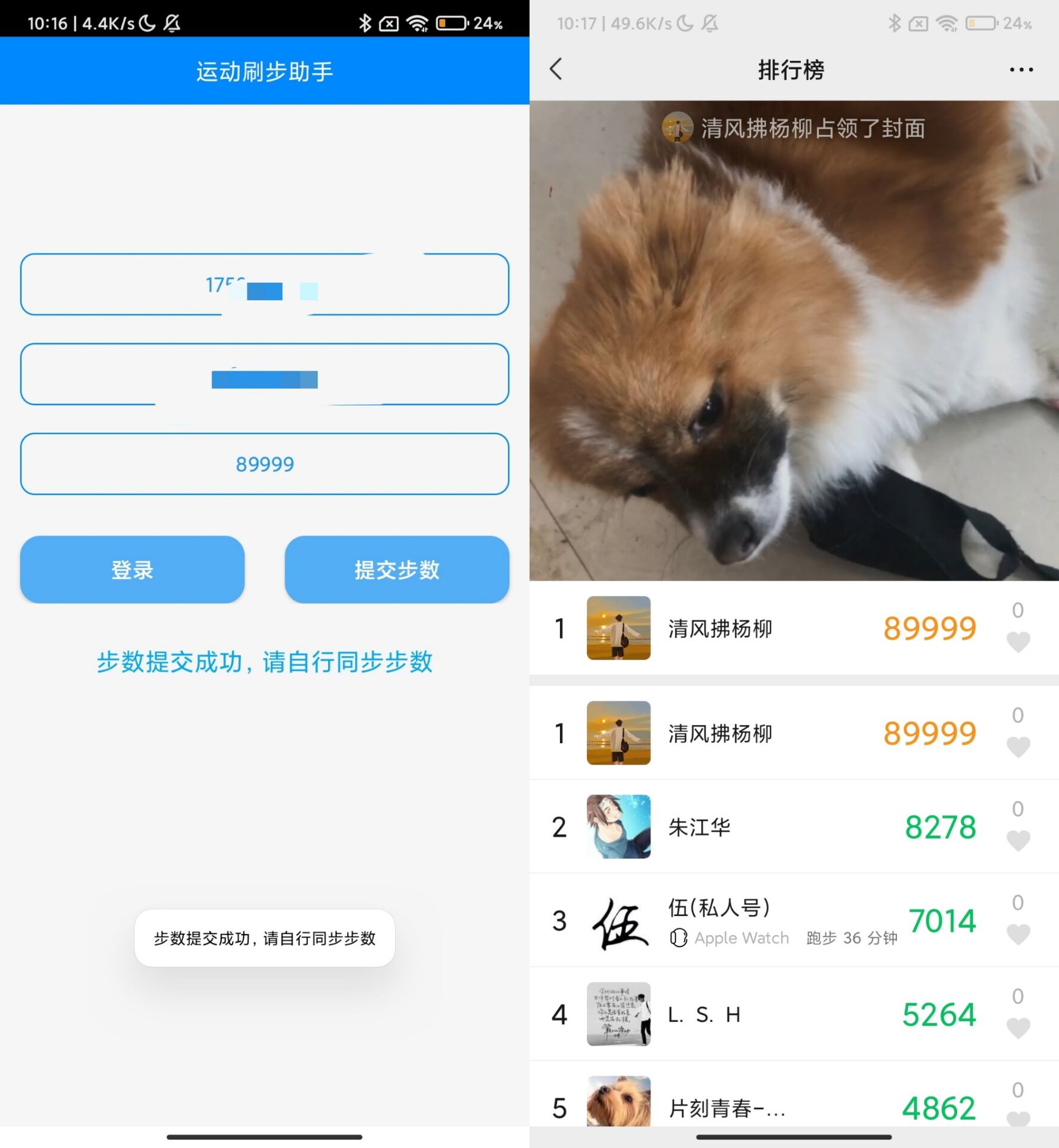 布偶步数助手 支持QQ微信支付宝-卓越网创