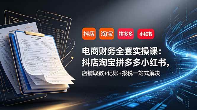 （19001期）电商财务全套实操课：抖店淘宝拼多多小红书，店铺取数+记账+报税一站式解决-卓越网创
