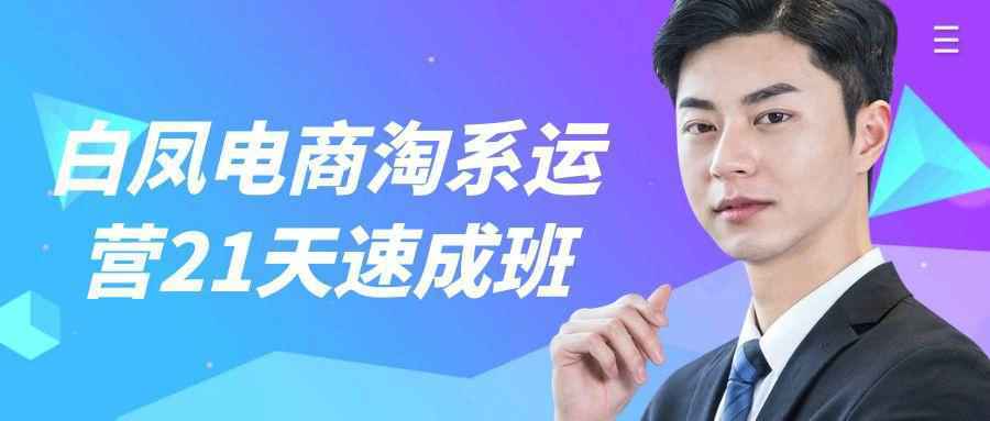 白凤电商淘系运营21天速成班-卓越网创