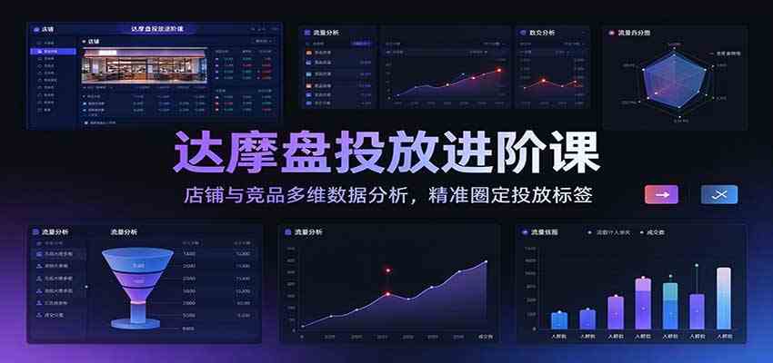 达摩盘投放进阶课：店铺与竞品多维数据分析，精准圈定投放标签-卓越网创