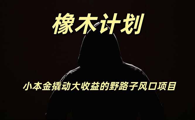 橡木计划,小投入撬动高回报的风口野路子项目,一天投入2小时左右-卓越网创