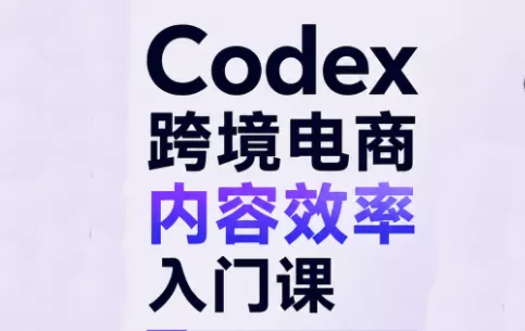 Codex跨境电商内容效率入门课-卓越网创