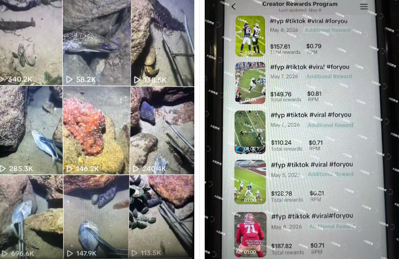 Tiktok中视频解说教程,体育+温情文案双赛道实操教程一站式带你落地,教你出海賺美刀 Tiktok中视频解说教程,体育+温情文案双赛道实操教程一站式带你落地,教你出海賺美刀