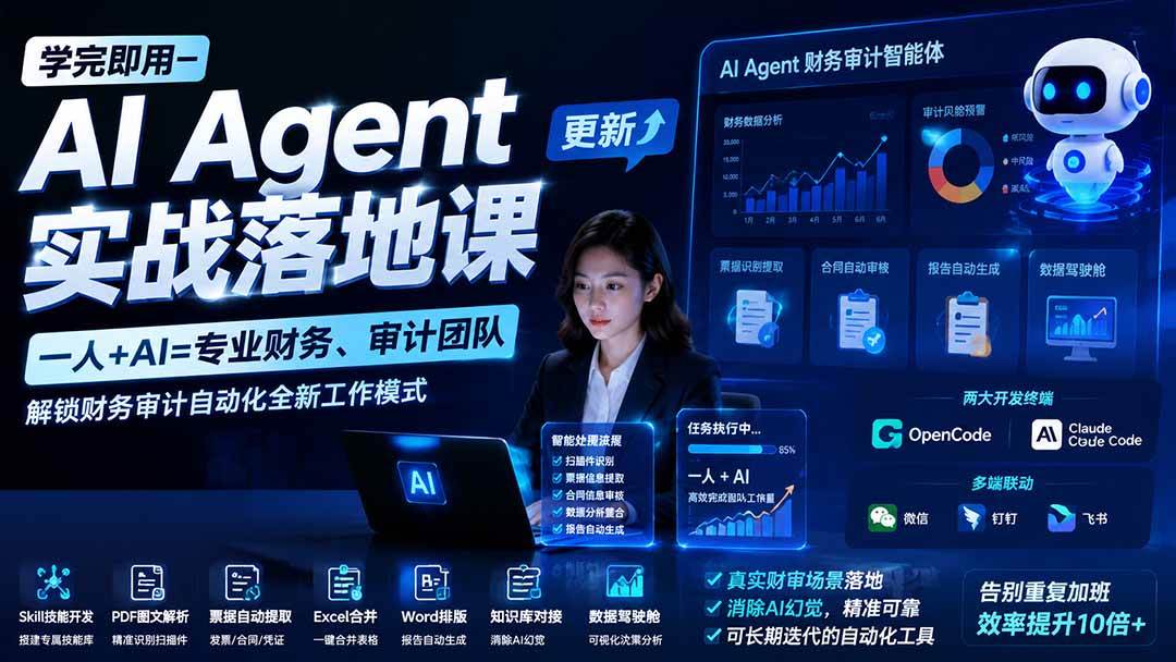 （20625期）【无水印】学完 即用-AI Agent实操落地课-更新0924：一人 + AI=专业财务、审计团队，解锁财务审计自动化全新工作模式-卓越网创