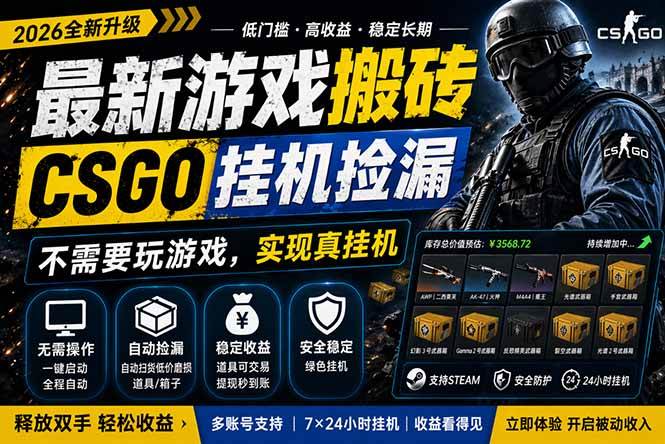 （18182期）最新游戏搬砖，CSGO纯挂机，不需要玩游戏，实现真挂机，月入1W+，五一小高峰上车可吃肉，…-卓越网创