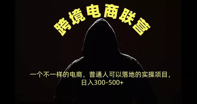 跨境电商联营，一个不一样的电商，普通人可操作日入300-500+-卓越网创